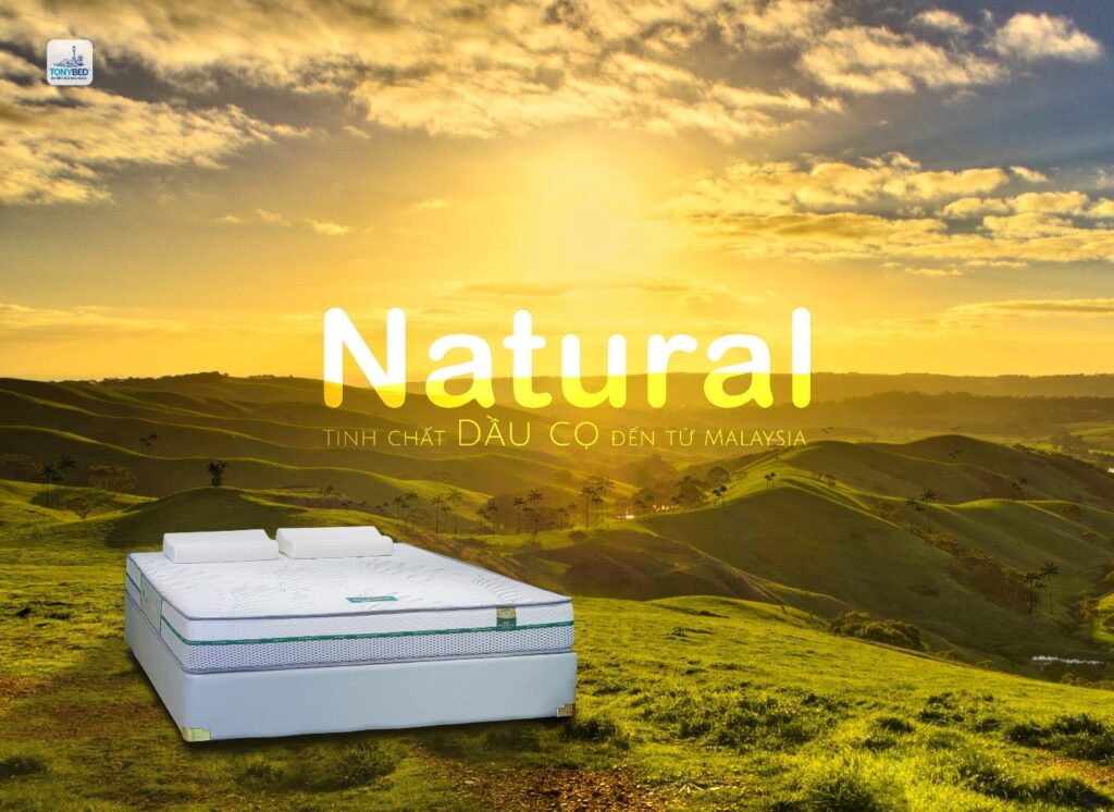 Nệm dầu cọ thiên nhiên – Chất liệu hướng đến cuộc sống xanh 1 23ea43c01d
