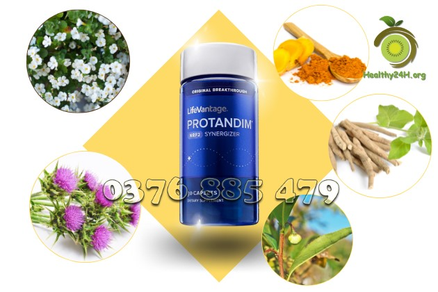 Tác dụng của thực phẩm chức năng Protandim bạn nên biết 1 6b4c3dfbce