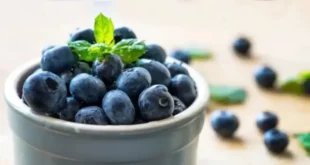 1708837677 660x330.webp