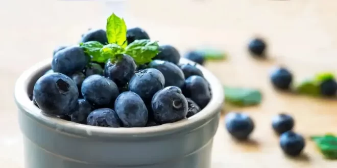 Việt quất là trái cây tốt nhất cho sức khỏe 2 1708837677