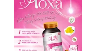 1710319317 660x330.webp