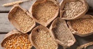 1721656595 660x330.webp