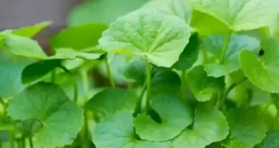 1723607917 660x330.webp