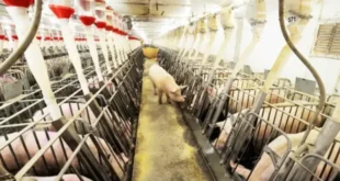 1724728939 660x330.webp