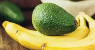 1729329855 660x330.webp