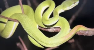 1730562076 660x330.webp