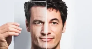 1731339444 660x330.webp