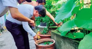 1735971277 660x330.webp