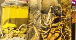 1737206009 660x330.webp