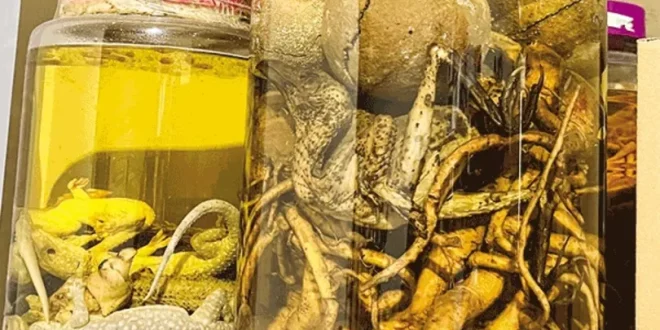 Tác hại của rượu bia ngày Tết 2 1737206009