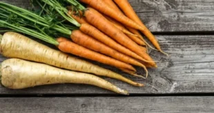 1739631389 660x330.webp